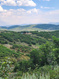 Photo 6 for 11360  Skyline Dr #170
