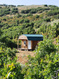 Photo 4 for 11360  Skyline Dr #170