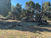 Photo 5 for 46205 W Little Elk Rd