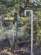 Photo 6 for 46205 W Little Elk Rd