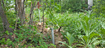 Photo 4 for 11  Tabby Rd #11