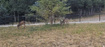 Photo 2 for 1007 S Summit Creek Dr