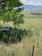 Photo 6 for 7150 N 4800 W