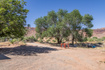 Photo 5 for 1431  Arnel Ln