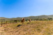 Photo 6 for 266 W Old Ranch Rd