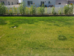 Photo 6 for 1082 E Springwater Way #812