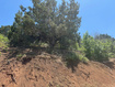 Photo 3 for 6  M Juniper Dr