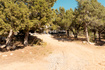 Photo 4 for 22310 N Cedar Dr