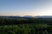 Photo 6 for 9156 E Forest Rd #24