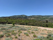 Photo 4 for 968 W Cisco Run