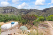 Photo 5 for 890 E Monroe Canyon Rd