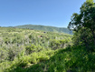 Photo 6 for 218  Bear Tooth Ridge Rd