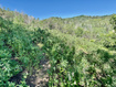 Photo 5 for 218  Bear Tooth Ridge Rd