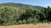 Photo 1 for 218  Bear Tooth Ridge Rd