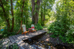 Photo 1 for 6481 N Fork Rd #n