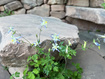 Photo 6 for 2137 N Pinecrest Canyon Rd #35