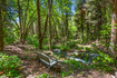 Photo 6 for 6752 E Millcreek Cyn #1