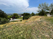 Photo 4 for 1022 E Hillside Dr