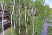 Photo 6 for 114 S Juniper Dr