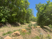 Photo 2 for 29  L Birch Creek Dr