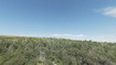 Photo 3 for 10  Stauffer Canyon Rd