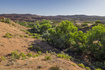 Photo 6 for 1880  Skyline Dr