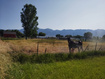 Photo 1 for 3850 W 2350 N