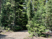 Photo 4 for 29595 S 37625 W