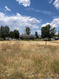 Photo 5 for 398 N 200 E