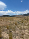 Photo 4 for 2865 N Cheyenne Rd