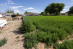 Photo 2 for 205 W 575 S