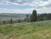Photo 1 for 22738 E Snowbird Dr