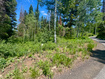 Photo 3 for 9146 N Uinta Dr