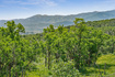 Photo 2 for 1520  Preserve Dr