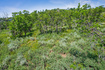 Photo 5 for 1520  Preserve Dr