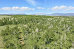 Photo 1 for 1555  Wolf Creek Ranch Rd