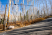 Photo 2 for 12385 E Forest Rd