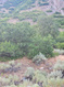 Photo 6 for 1691 E Box Elder Cir