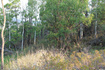 Photo 4 for 1421 S Beaver Bench