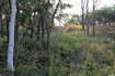 Photo 1 for 1421 S Beaver Bench