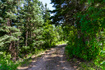 Photo 1 for 951  Hidden Cir