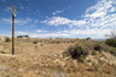 Photo 6 for 2648 W Highway 40