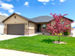Photo 1 for 12137 S Black Powder Dr