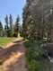 Photo 4 for 6240 W Grizzly Ln