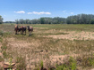 Photo 6 for 5518 E 500 N