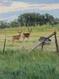 Photo 5 for 5518 E 500 N
