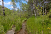 Photo 4 for 19845 N 14070 (north Fork Rd) Rd #313