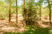 Photo 5 for 521 N Grove Dr