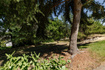Photo 6 for 85 E 500 S