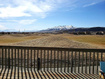 Photo 4 for 3462  Heyward Ct